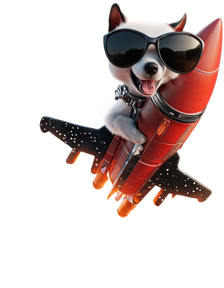Chien sur une fusée